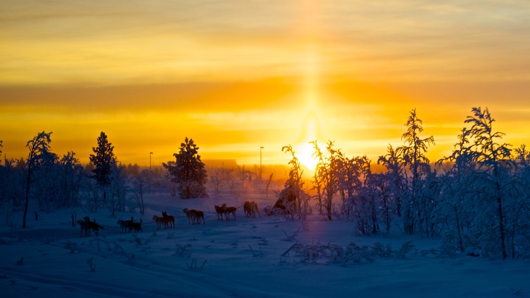 Kiruna2